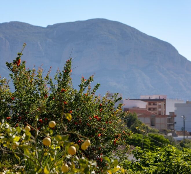 Finca for Sale in Spain