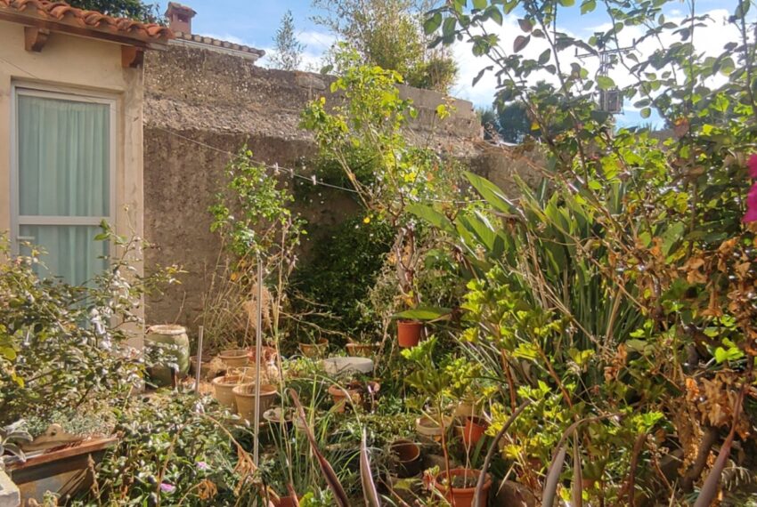 jardin