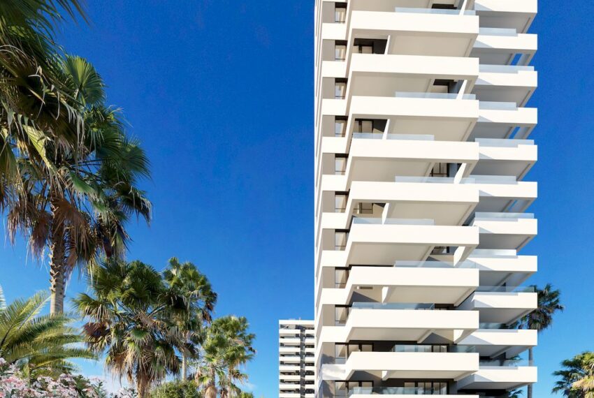 olea-home-propiedades_63cfbf7954666-source